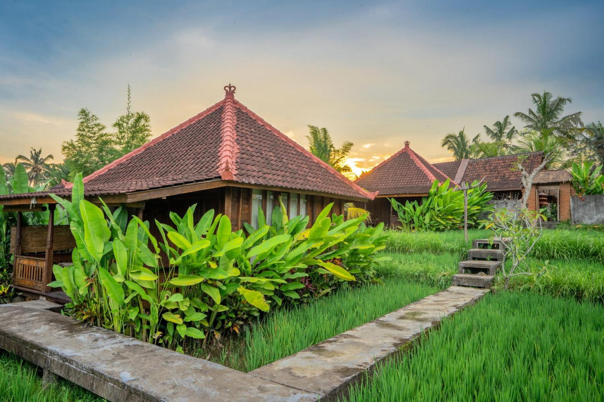 Ubud Sawah Scenery Villa And Homestay Tegallalang  Eksteriør bilde