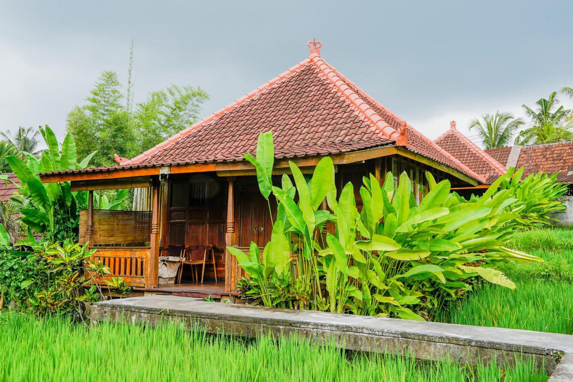 Ubud Sawah Scenery Villa And Homestay Tegallalang  Eksteriør bilde