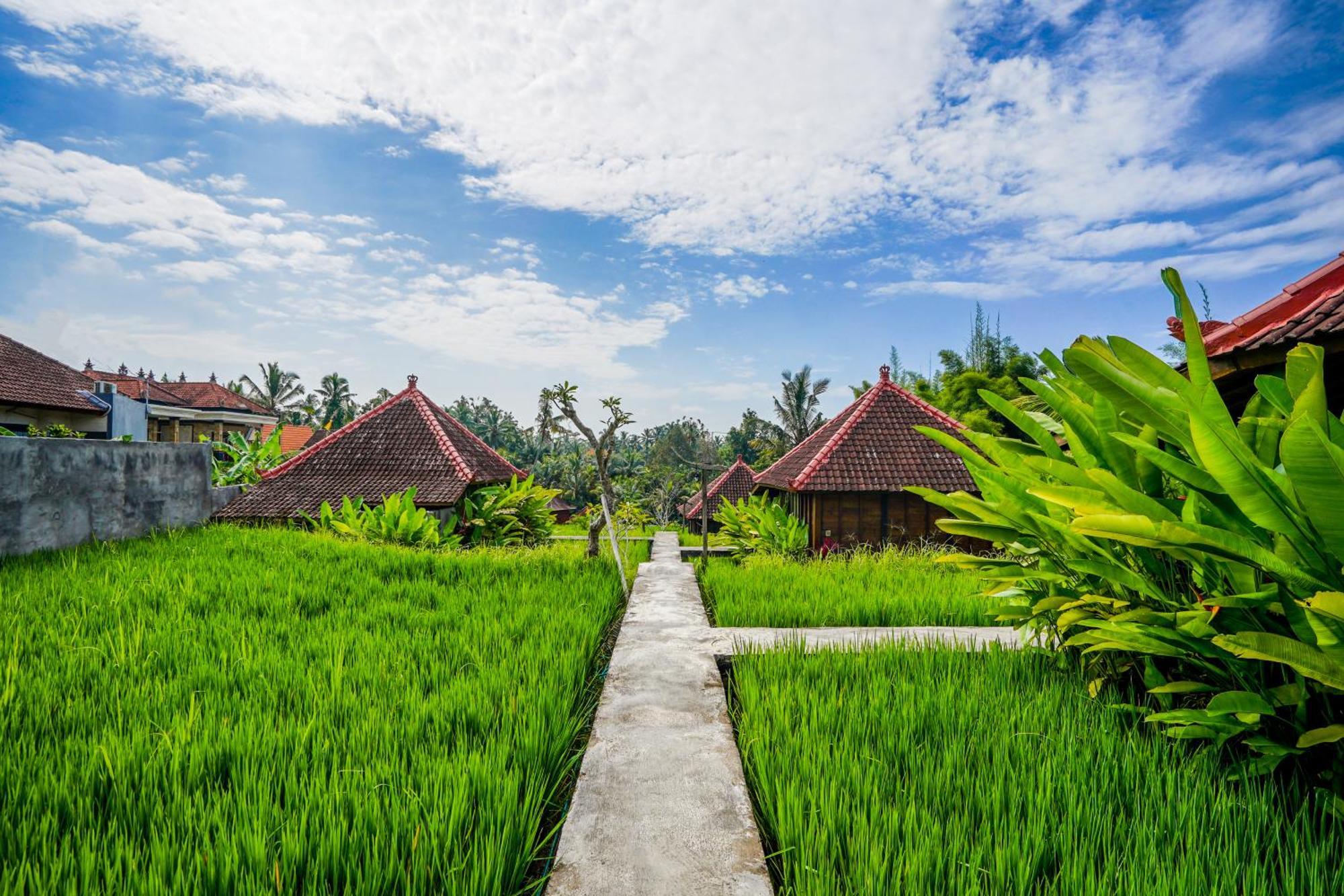 Ubud Sawah Scenery Villa And Homestay Tegallalang  Eksteriør bilde