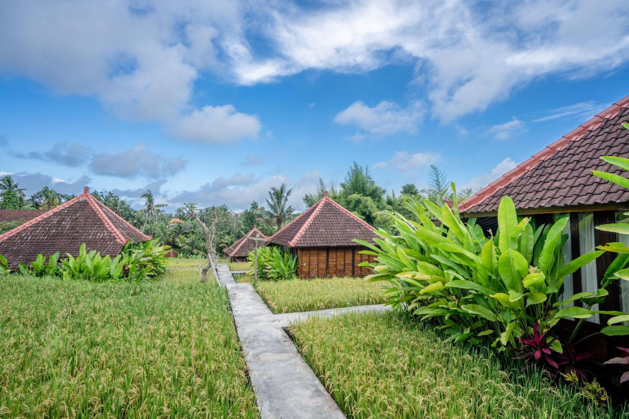 Ubud Sawah Scenery Villa And Homestay Tegallalang  Eksteriør bilde