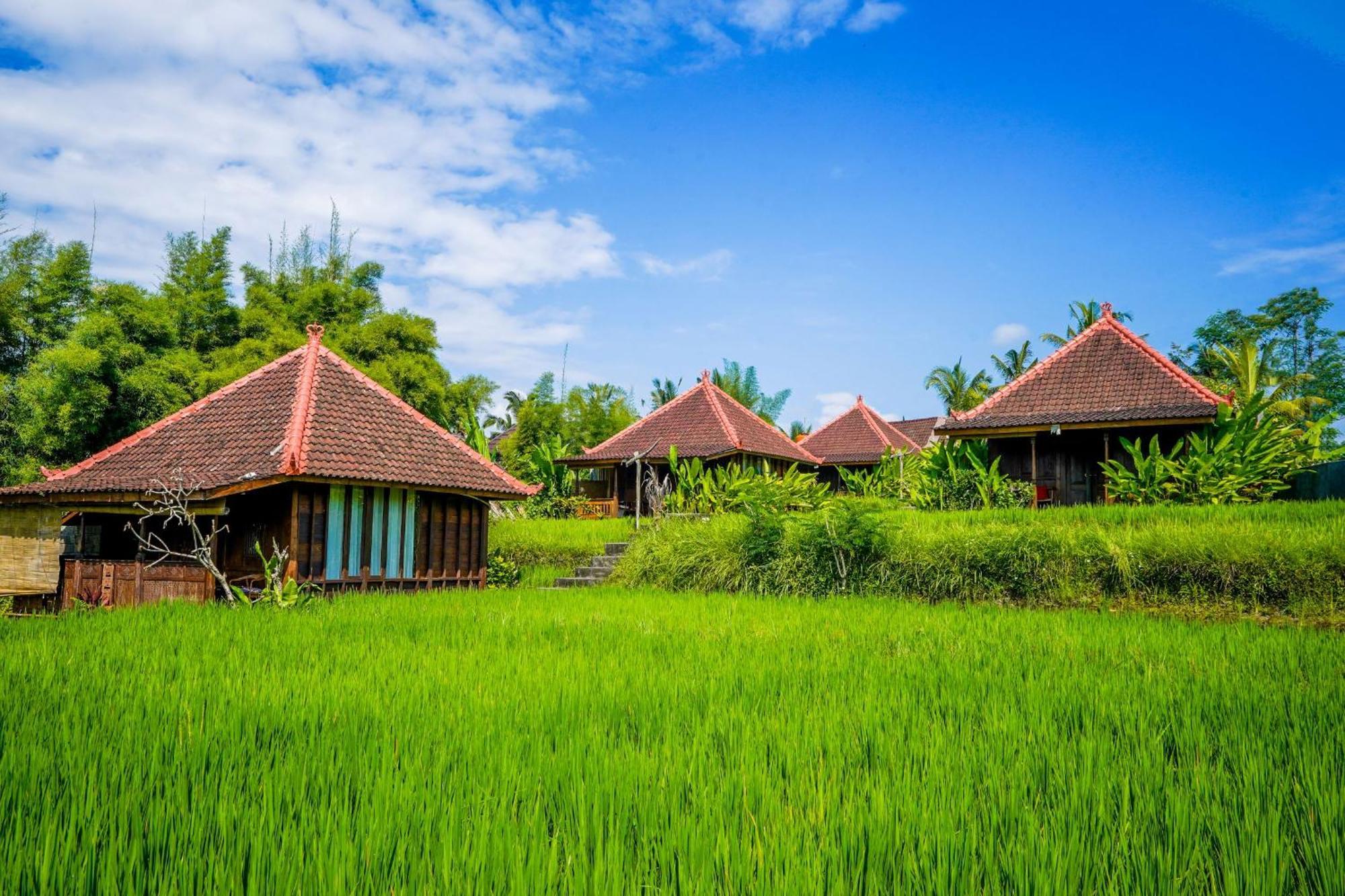 Ubud Sawah Scenery Villa And Homestay Tegallalang  Eksteriør bilde